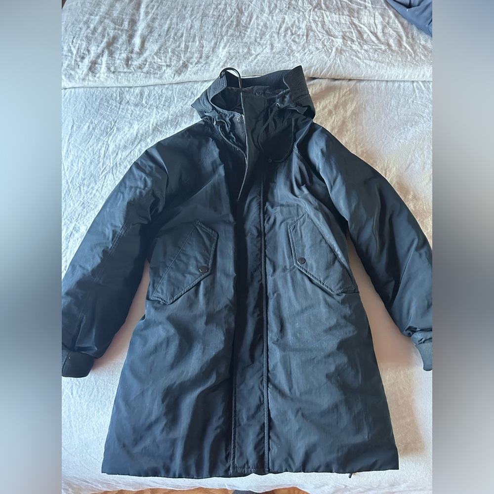 Everlane Black Hooded Puffer Coat